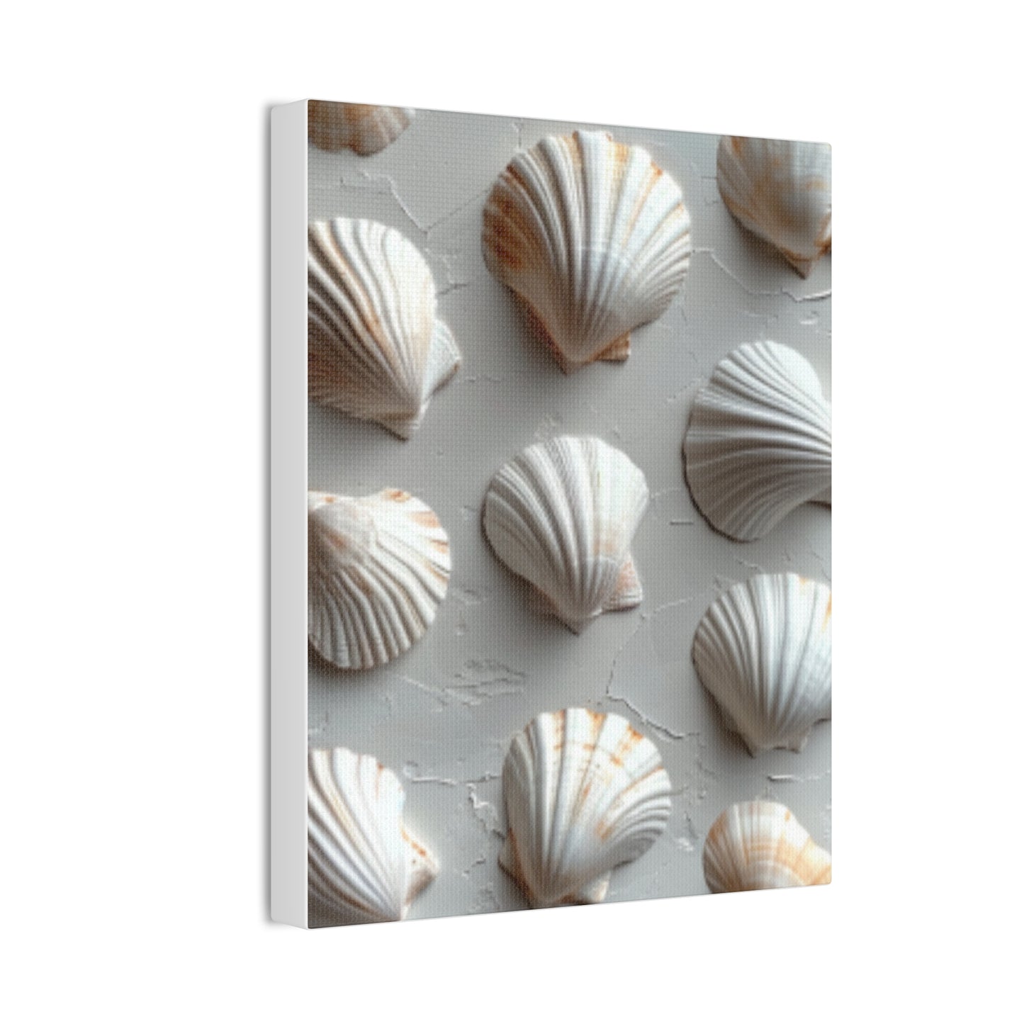 Seashell Serenity Canvas Print